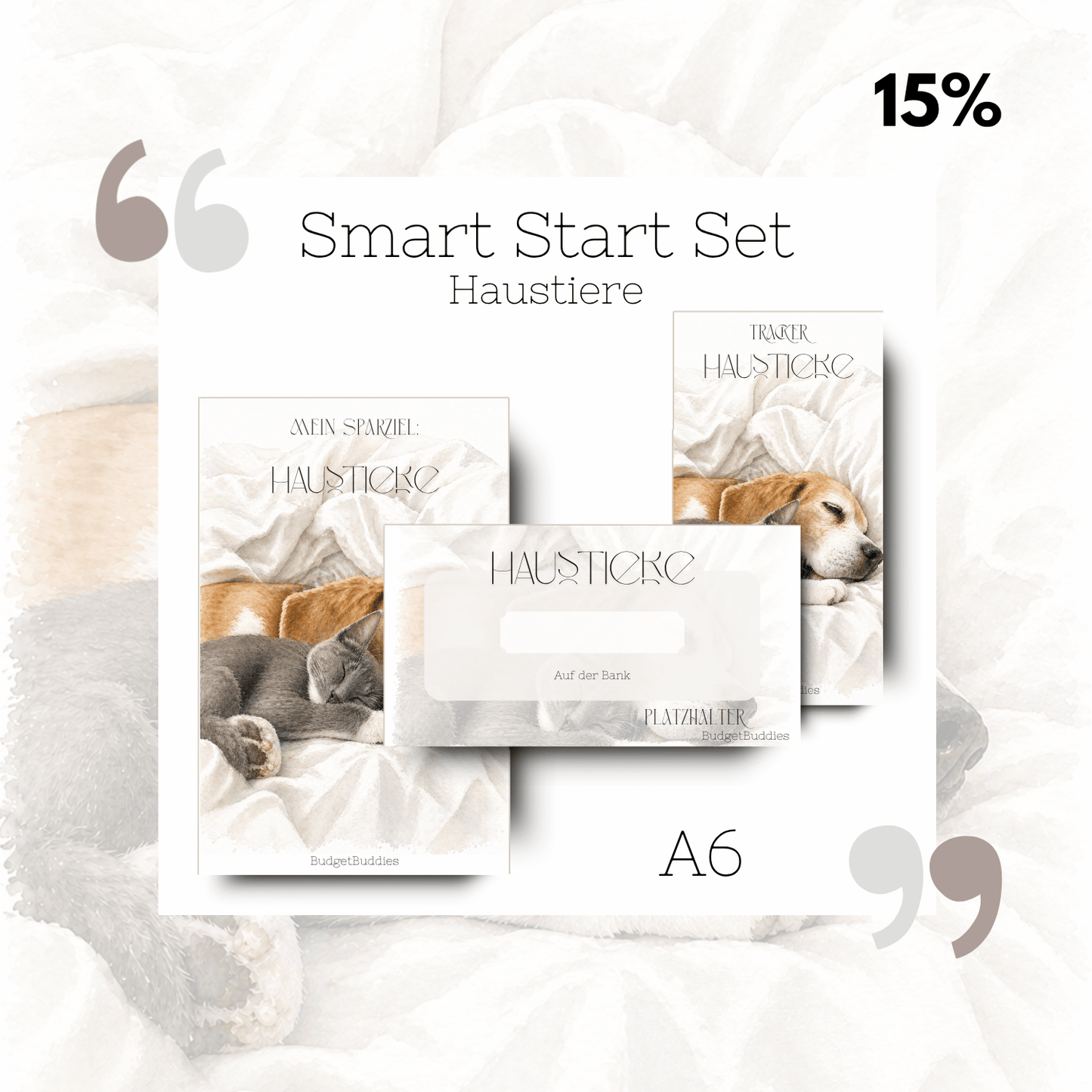 Smart Start Set Haustiere A6